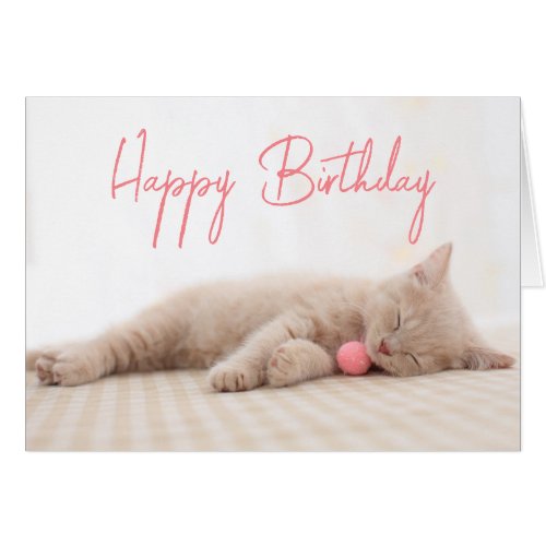 Happy Birthday  British Shorthair Cat