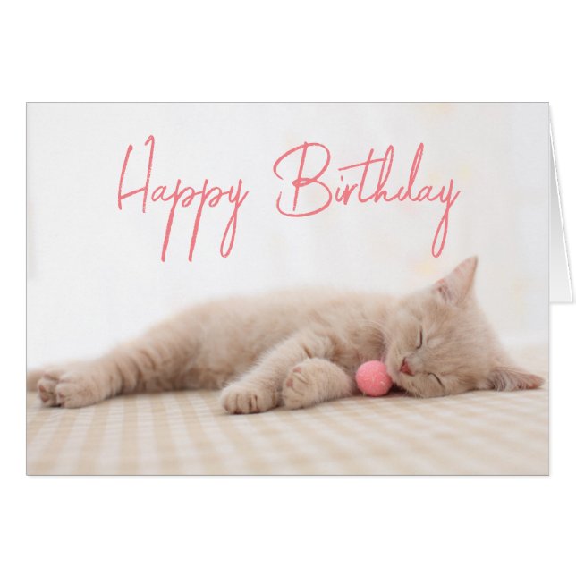 Happy Birthday | British Shorthair Cat (Front Horizontal)