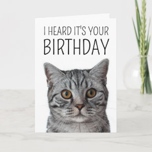 Happy Birthday   British Shorthair Cat Face Card