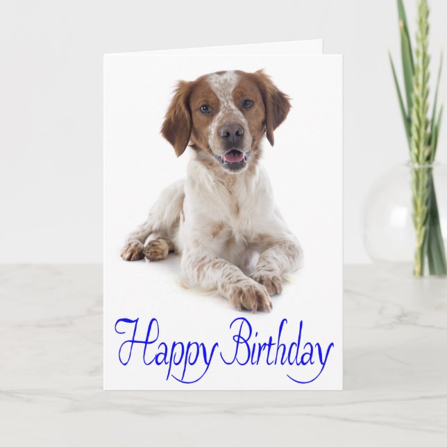 Happy Birthday Brittany Spaniel Puppy Dog Card (Front)