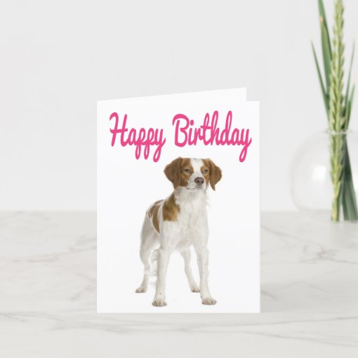 Happy Birthday Brittany Spaniel Puppy Dog Card | Zazzle