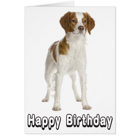 Happy Birthday Brittany Spaniel Puppy Dog Card | Zazzle