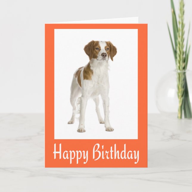 Happy Birthday Brittany Spaniel Puppy Dog Card (Front)