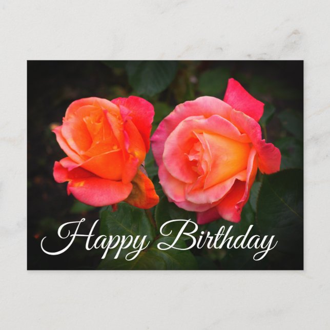 Happy Birthday Broadway Rose #1 Postcard (Front)