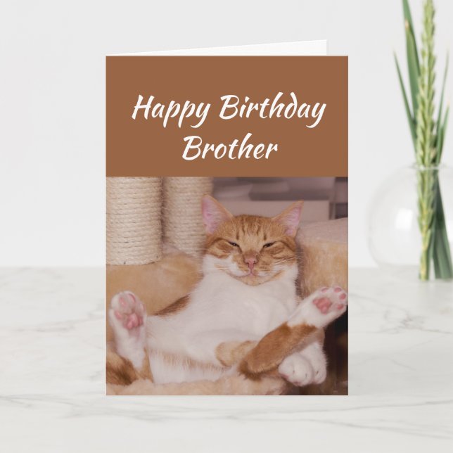Happy Birthday Brother Celebrate Funny Cat Card (Front)