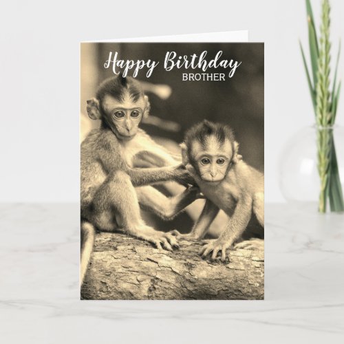 Happy Birthday Brother Cute Monkeys Birthday Card