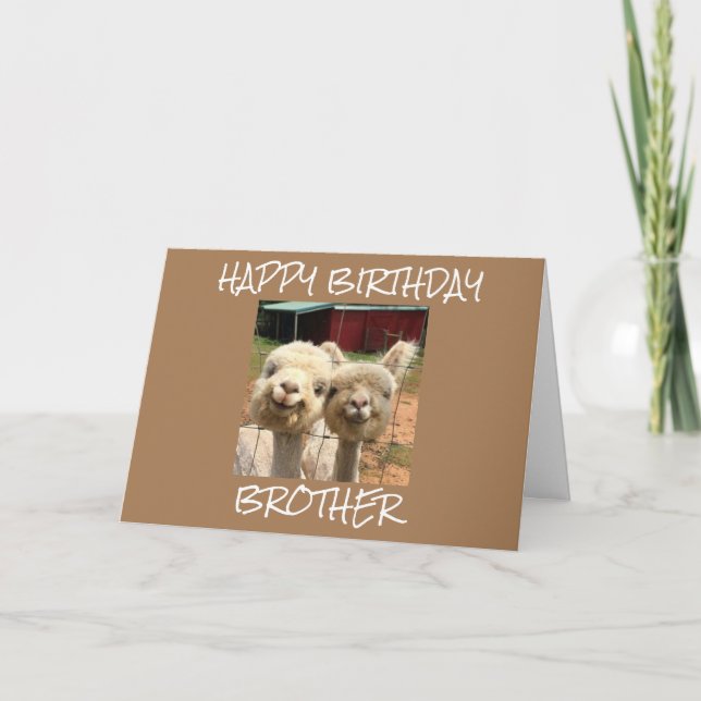**HAPPY BIRTHDAY BROTHER** FROM CUTE ALPACAS CARD (Front)