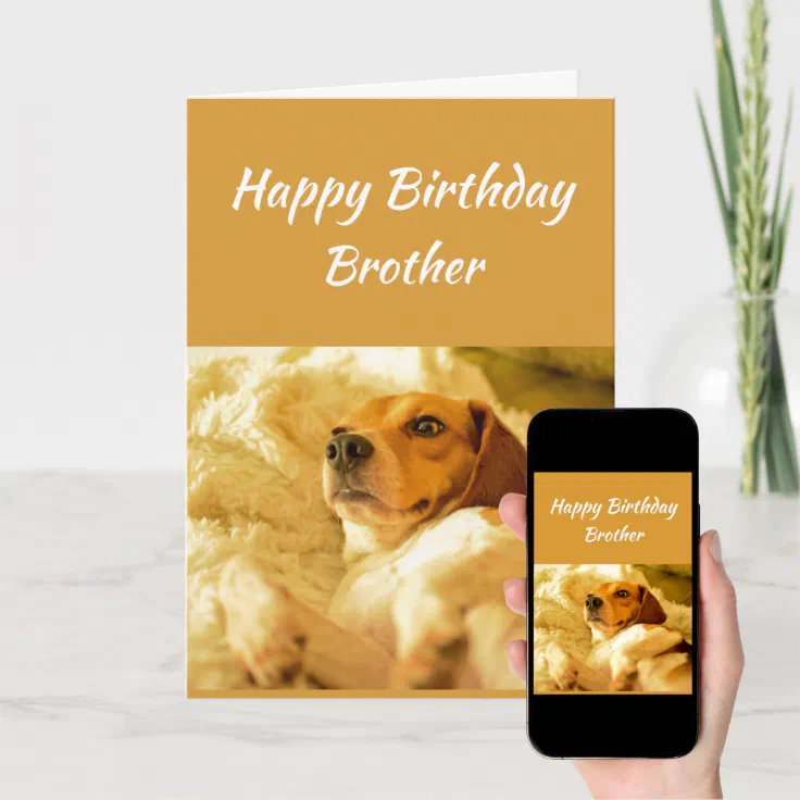 Happy Birthday Brother Funny Animals Card | Zazzle
