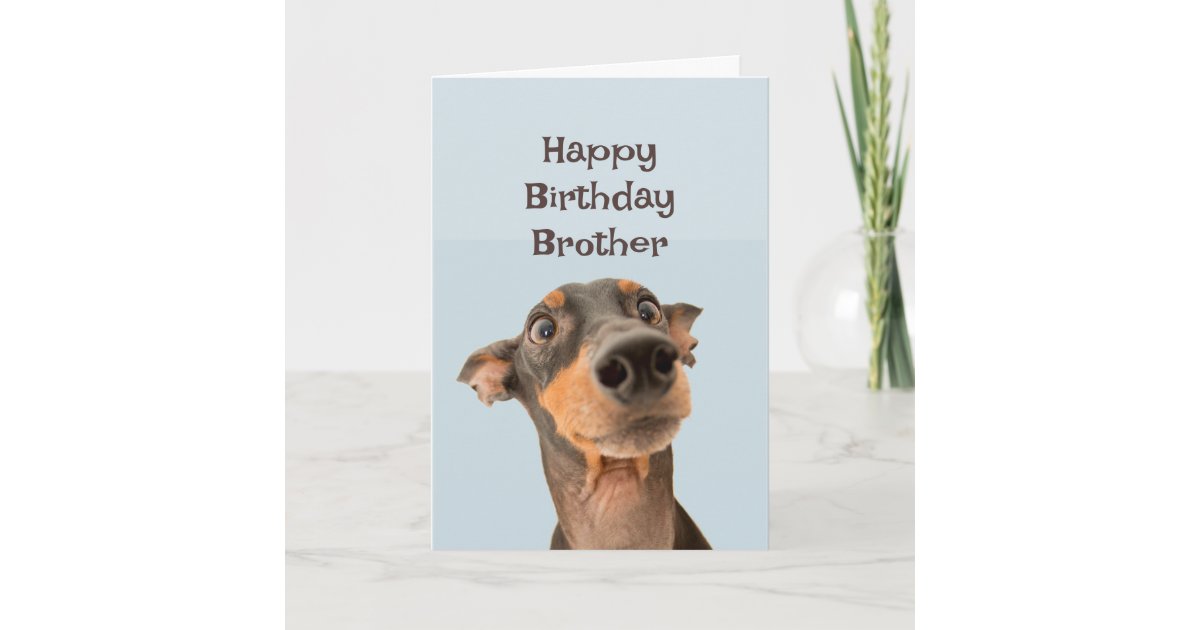 Happy Birthday Brother Funny Dog Humor Card | Zazzle
