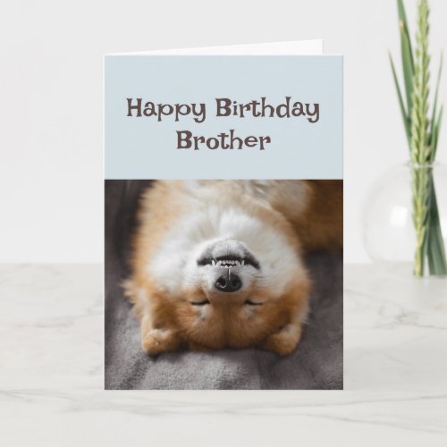 Happy Birthday Brother Funny Dog Party Time Card