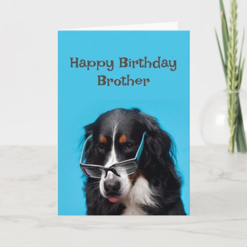 Happy Birthday Brother Funny Dog Party Time  Card