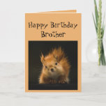 Happy Birthday Brother Funny Go Nuts! Card<br><div class="desc">Funny Birthday card for your Brother  Go Nuts!</div>