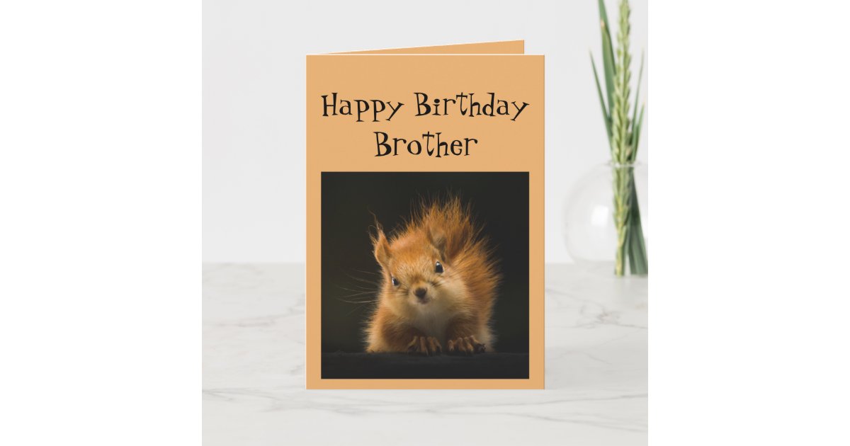 funny happy birthday cards for brother