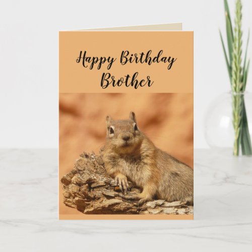 Happy Birthday Brother Funny Squirrel Humor Card