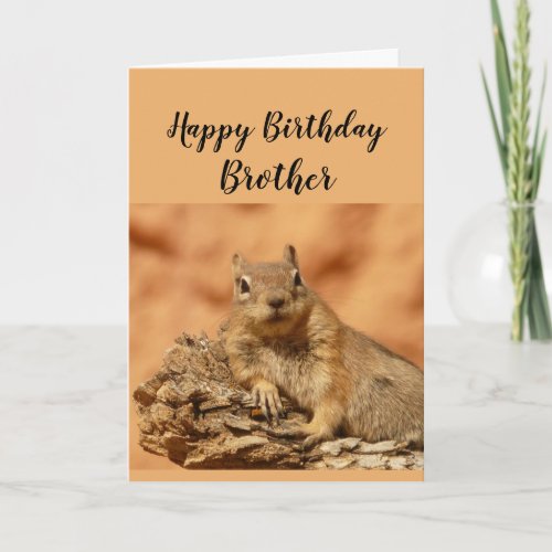 Happy Birthday Brother Funny Squirrel Relax Card