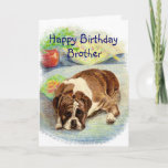 Happy Birthday Brother Get Excited Humor Boxer Dog Card<br><div class="desc">Have a brother who loves boxers, dogs or is feeling blue about their age? They aren't very excited about their birthday. This sad looking Boxer dog will cheer them up., </div>