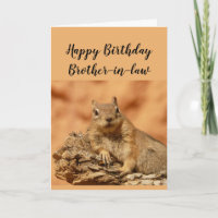 Happy Birthday Brother-in-law Funny Squirrel Relax