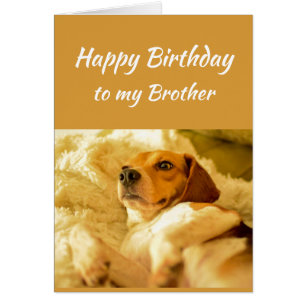 Happy Birthday Brother Real Age Humor Fun Dog Cards