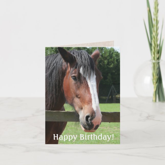 Happy  Birthday Brown Horse Equestrian Riding Card (Front)