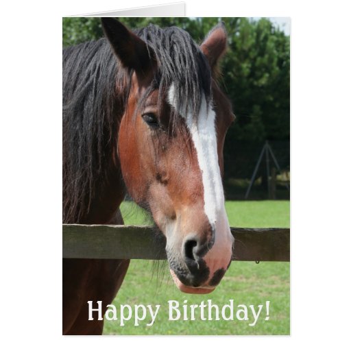Happy Birthday Brown Horse Equestrian Riding Card | Zazzle
