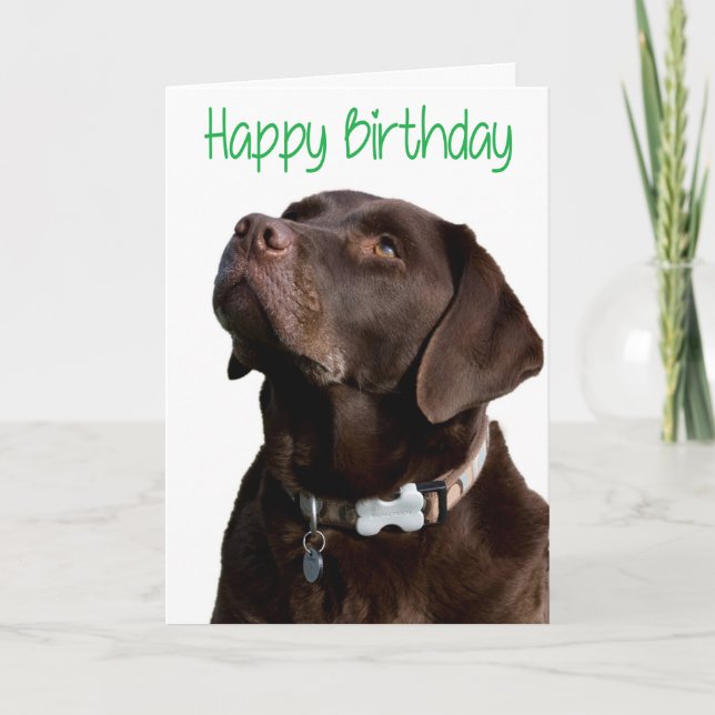 Happy Birthday Brown Labrador Retriever Puppy Card (Front)