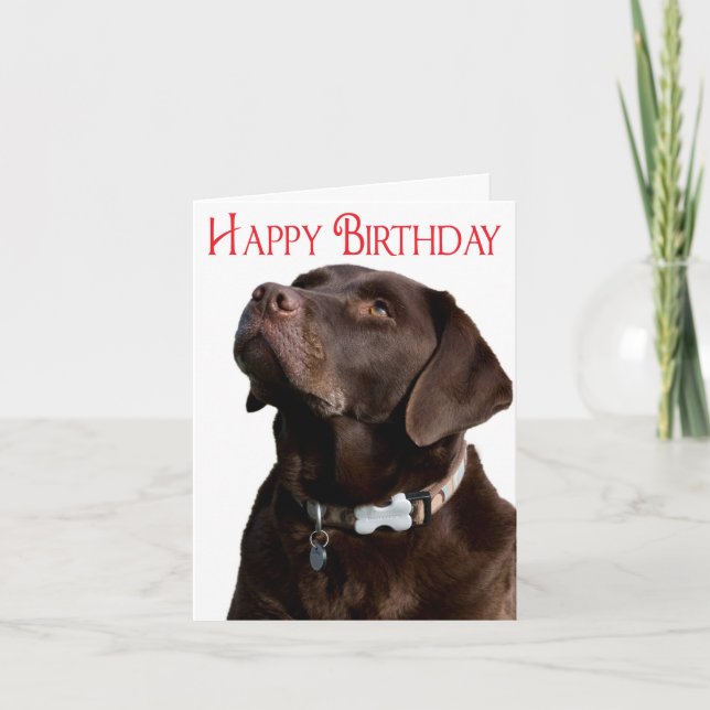 Happy Birthday Brown Labrador Retriever Puppy Card (Front)