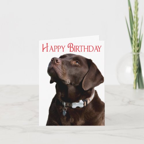 Happy Birthday Brown Labrador Retriever Puppy Card