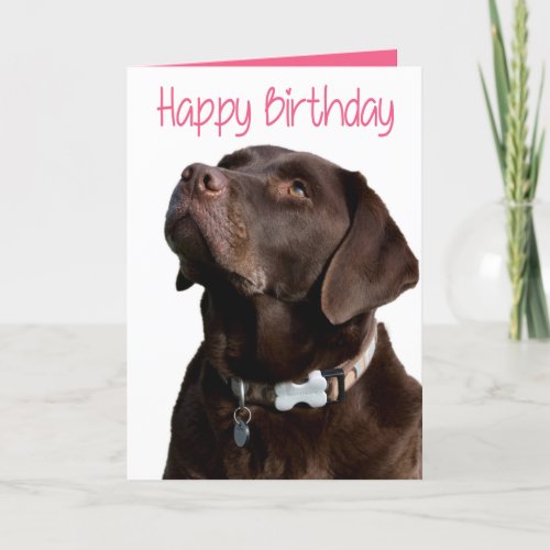 Happy Birthday Brown Labrador Retriever Puppy Pink Card