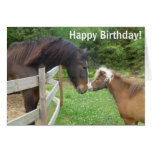 Shire Horse Birthday Card | Zazzle