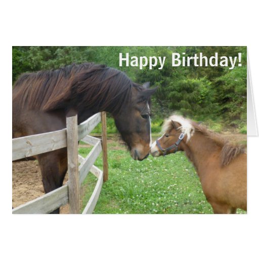 Happy Birthday Brown Miniature Draft Shire Horse Card | Zazzle