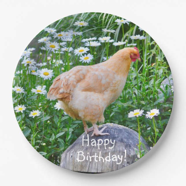 Happy Birthday Buff Orpington Chicken Paper Plates (Front)