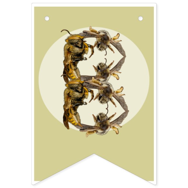 Happy Birthday Bug Themed Banner | Insect Banner  (Eighth Flag)