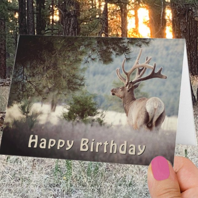 Happy Birthday Bull Elk Photograph Template (Creator Uploaded)