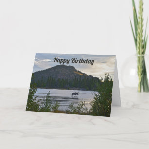 Happy Birthday, Bull Moose, Sprague Lake, Colorado Card