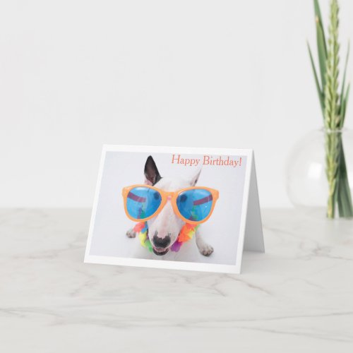 Happy Birthday Bull Terrier Card