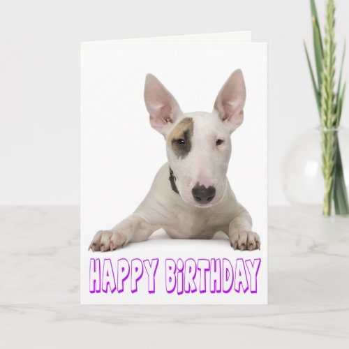 Happy Birthday Bull Terrier Puppy Dog Card