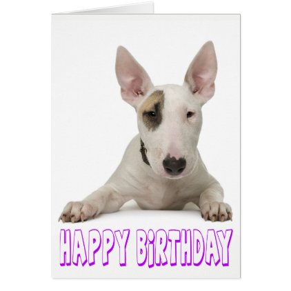 Happy Birthday Bull Terrier Puppy Dog Card