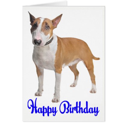 Happy Birthday Bull Terrier Puppy Dog Card