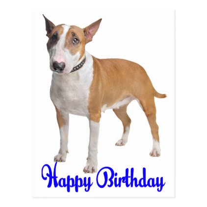 Happy Birthday Bull Terrier Puppy Dog Postcard