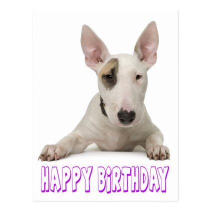 Happy Birthday Bull Terrier Puppy Dog Postcard