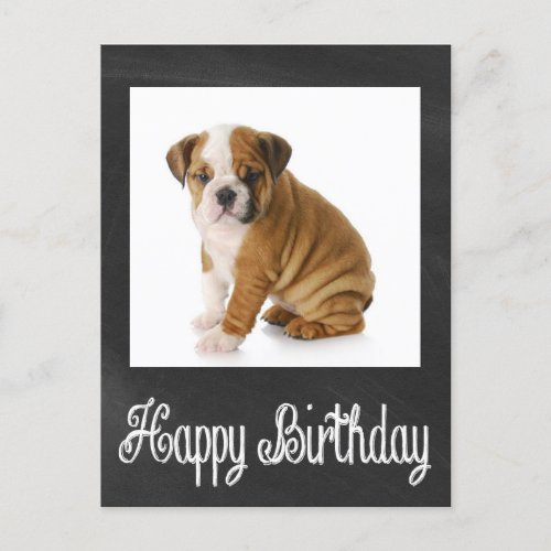Happy Birthday Bulldog Puppy Chalkboard Postcard