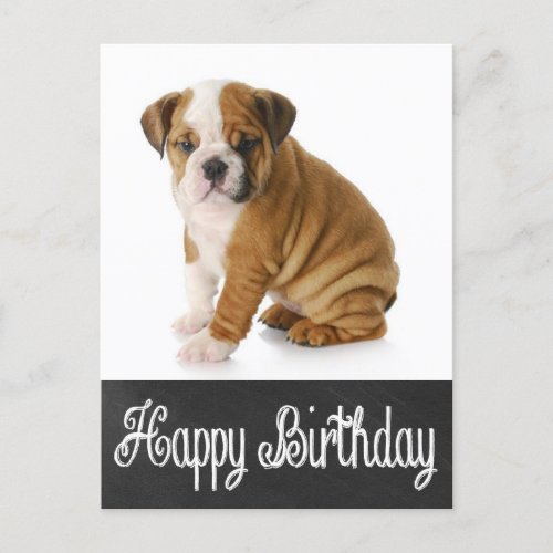 Happy Birthday Bulldog Puppy Chalkboard Postcard