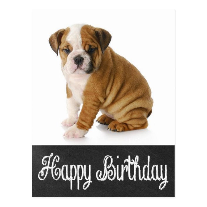 Happy Birthday Bulldog Puppy Chalkboard Postcard | Zazzle.com