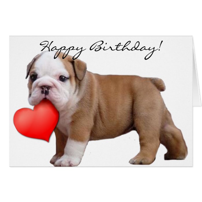 Happy Birthday  Bulldog puppy greeting card