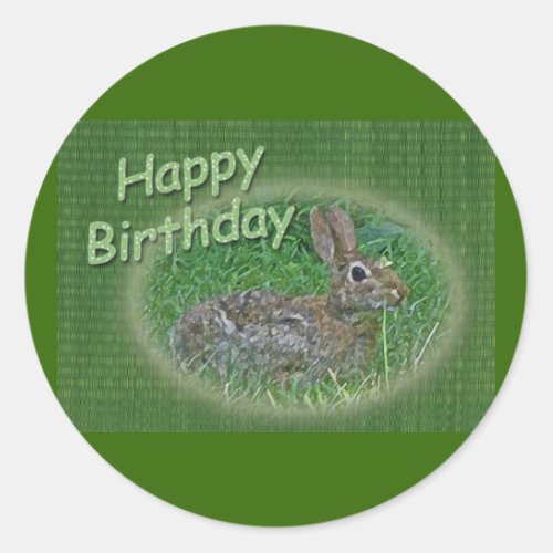 Happy Birthday Bunny Rabbit Cordinating Items Classic Round Sticker