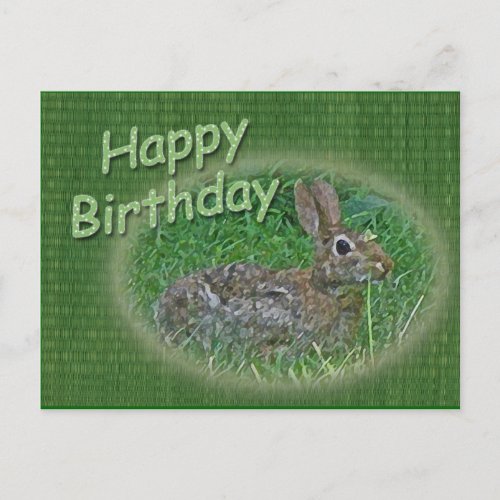 Happy Birthday Bunny Rabbit Cordinating Items Postcard