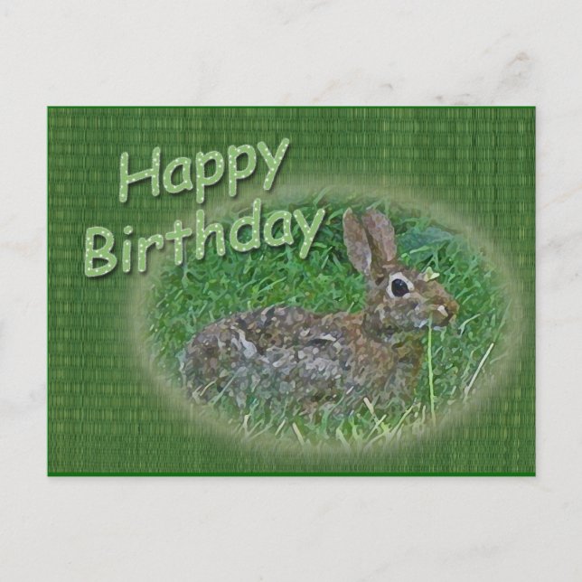 Happy Birthday Bunny Rabbit Cordinating Items Postcard (Front)
