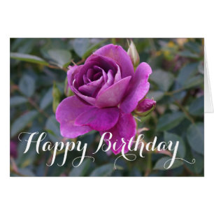 Happy Birthday Burgundy Iceberg Rose #2 Card