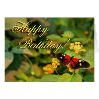 Happy Birthday Butterfly Card