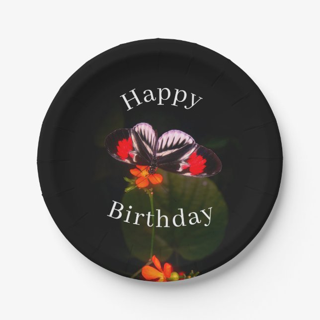 Happy Birthday Butterfly  Paper Plates (Front)